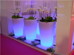 Rental of plants, flowers and vases for events in Milan, in Italy and abroad