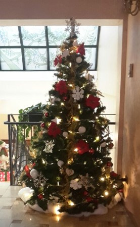 Albero di Natale ecologico 2,10 mt.