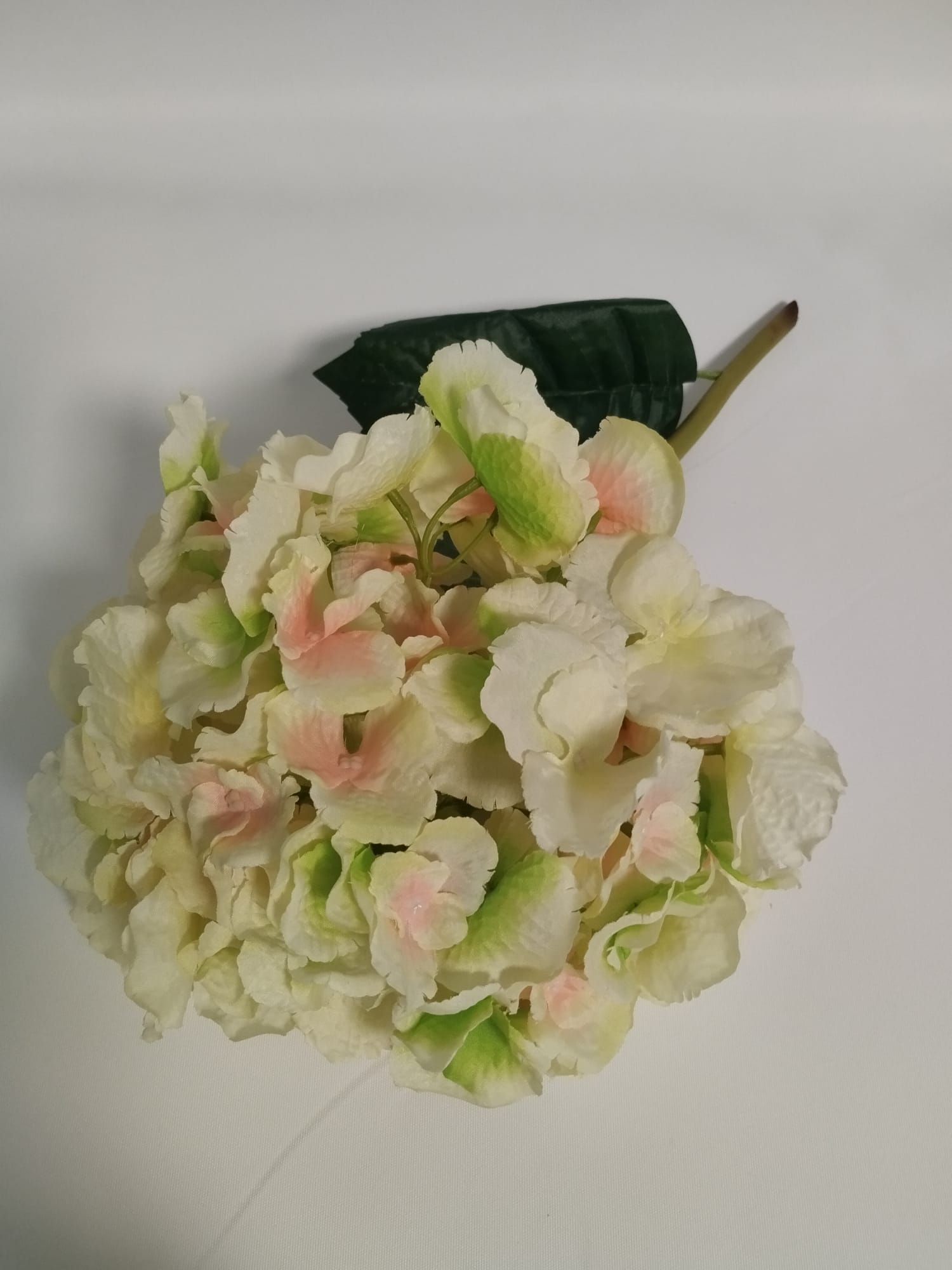 ORTENSIA ARTIFICIALE bianca variegata verde e rosa