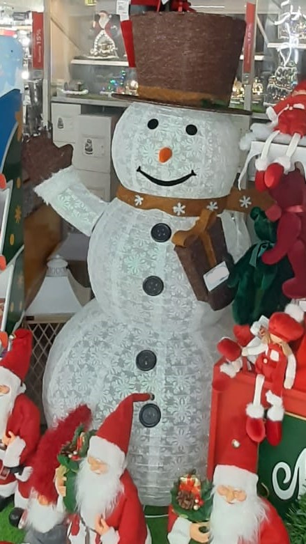 Pupazzo Di Neve