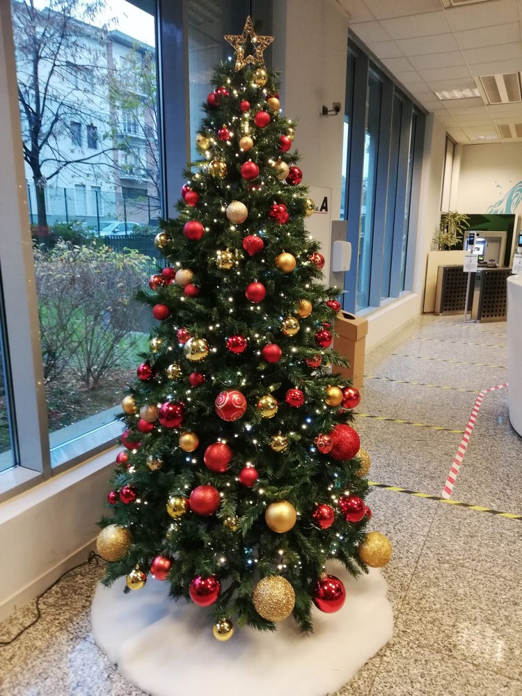 Albero di Natale 2,40 mt