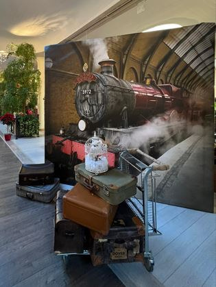 Noleggio Backdrop photobooth Harry Potter a Milano Backdrop photobooth Harry Potter