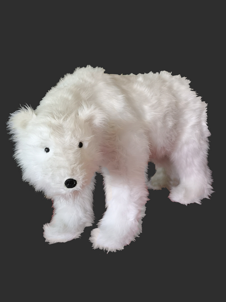 Orso a quattro zampe